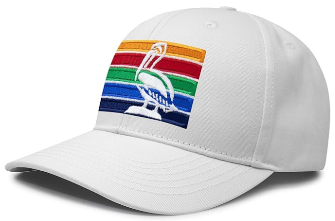 St. Petersburg, Florida flag hats - Collection