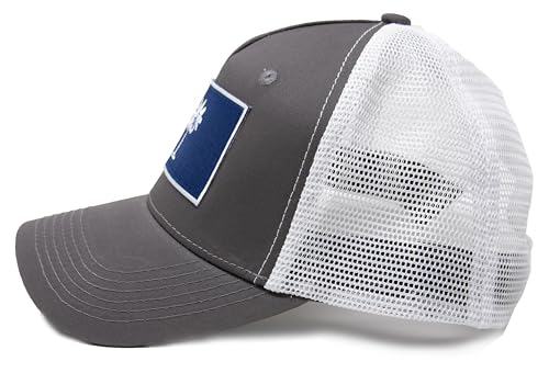 International Tie Peak Performance Fashion Banner South Carolina Hat for Men and Women