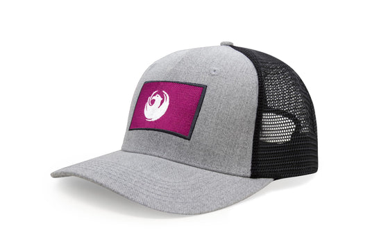 International Tie City Hat for Men and Women, Adjustable Snapback Trucker Baseball Cap with Embroidered Patch (Phoenix, Grey Black)