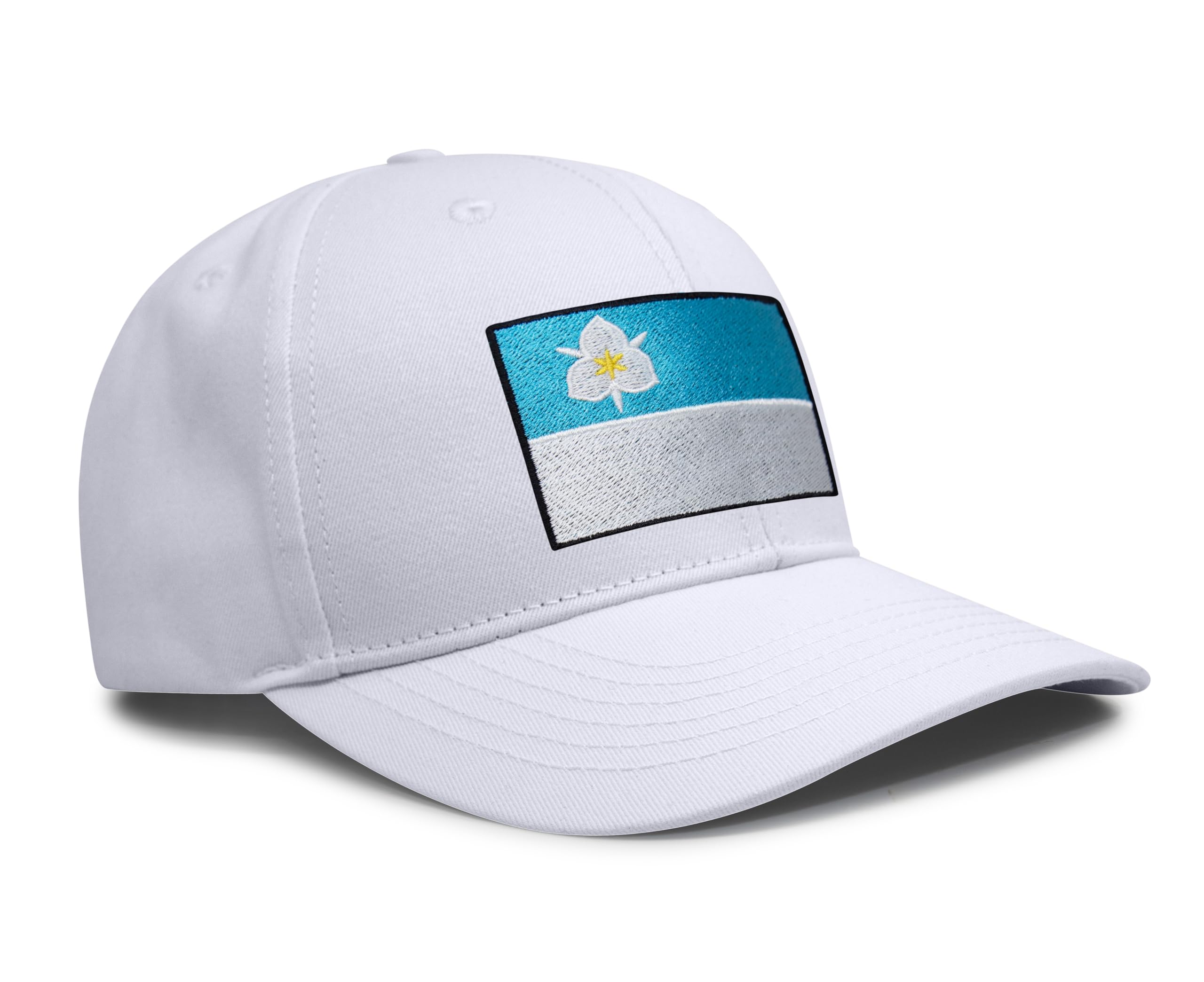 Salt Lake City Snapback Curved | All White
