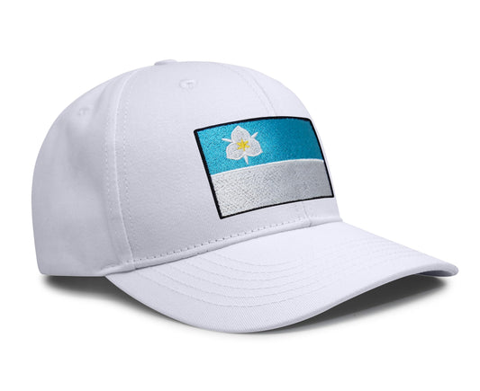 Salt Lake City Snapback Curved | All White