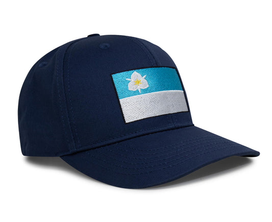 Salt Lake City Snapback Curved | All Navy