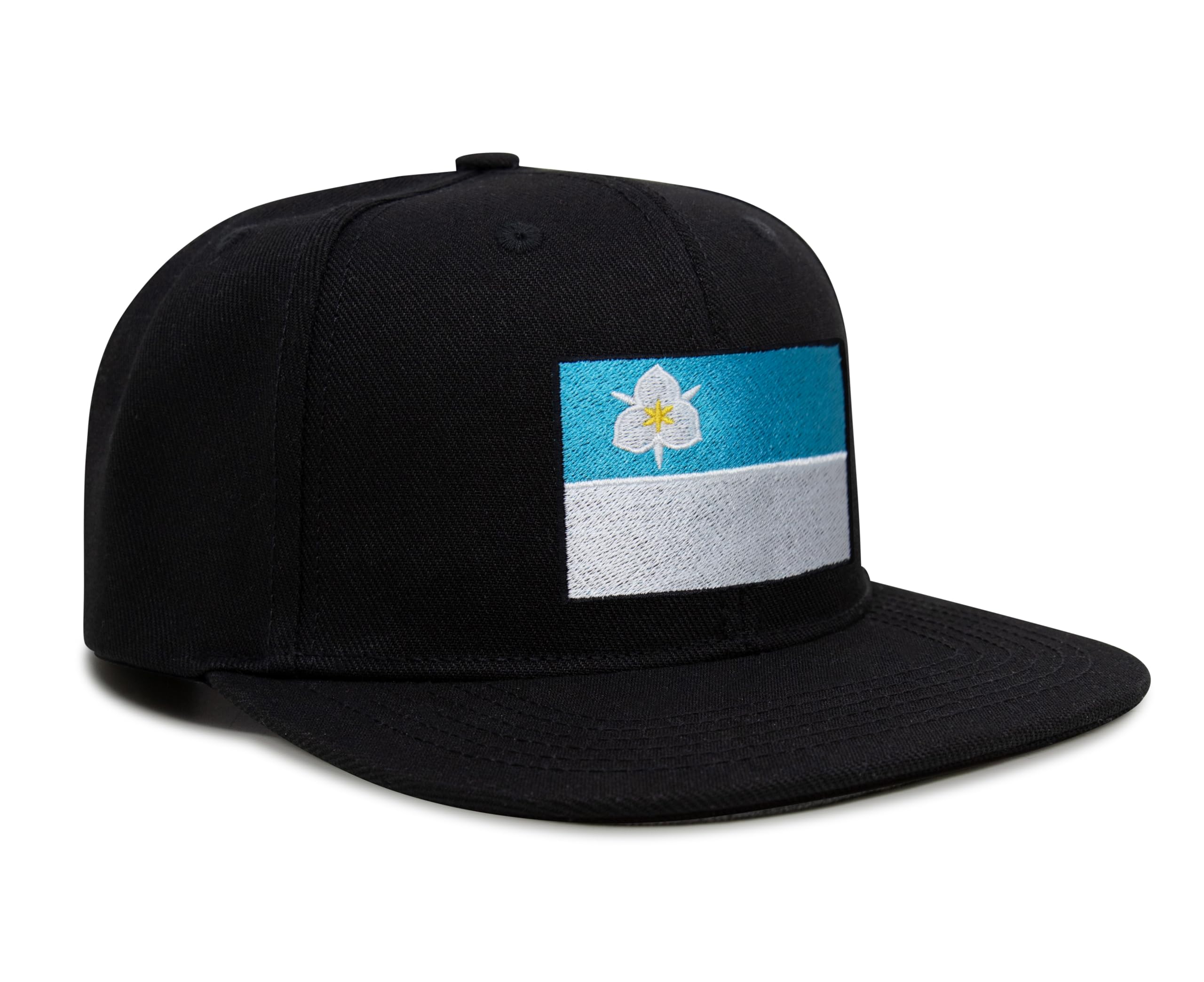 Salt Lake City Snapback Flat | Black Flatbill